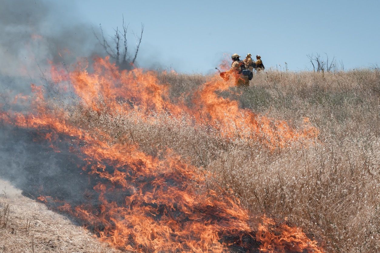 fire department insurance